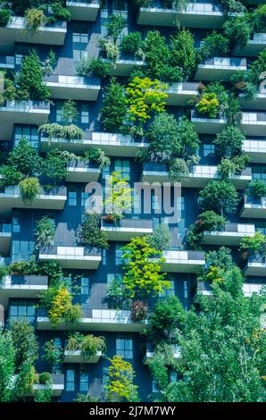 View of the balconies and terraces of Bosco Verticale, full of green plants. Spring time. 05-09-2022. Milan, Porta Nuova skyscraper residences, Italy Stock Photo
