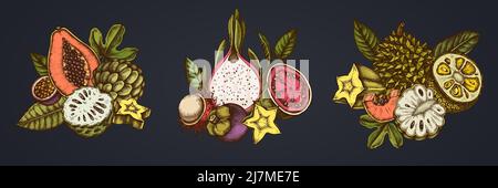 Composition design of colored papaya, guava, passion fruit, starfruit, durian, rambutan, pitaya, jackfruit, sugar-apple, soursop, mangosteen Stock Vector