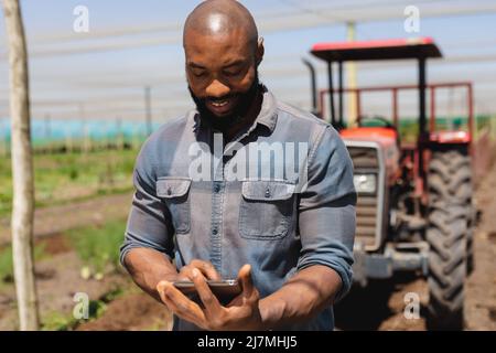 Smiling african american bald mid adult agronomist using digital tablet in greenhouse on sunny day Stock Photo