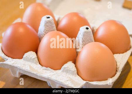 Egg carton, a half dozen free range eggs in a recycled cardboard box, UK Stock Photo
