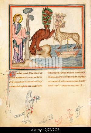 The Cloisters Apocalypse ca. 1330  - The Apocalypse, or Book of Revelation,  John the Evangelist , giovanni evangelista, during his exile on the Greek island of Patmos. In this Image - Stock Photo
