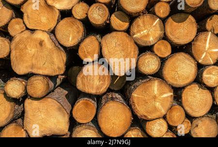 Background with a pile of stacked wood Stock Photo