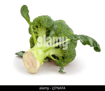 broccoli path isolated on white Stock Photo