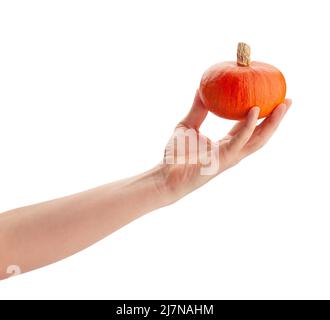 squash in hand path isolated on white Stock Photo