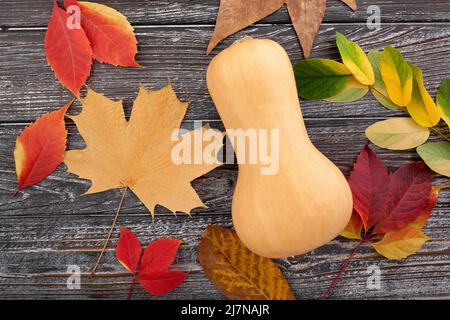 squash and autumn leaves on wood background top view Stock Photo