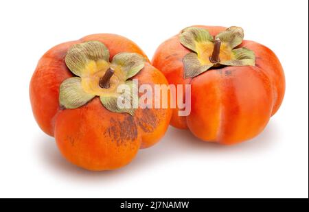 persimmon path isolated on white