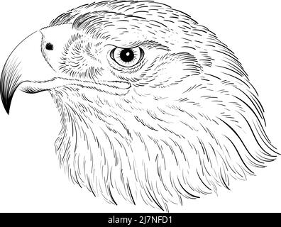 The Vector logo eagle for tattoo or T-shirt design or outwear.  Hunting style raven background. This hand drawing is for black fabric or canvas Stock Vector