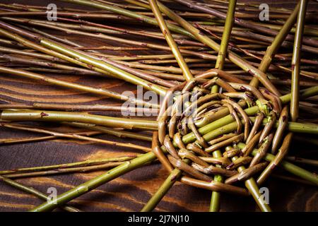 background detail of starting to knit wicker basket Stock Photo