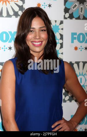 LOS ANGELES - JUL 20: Michaela Conlin at the FOX TCA July 2014 Party at