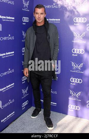 Gavin Rossdale at the 13th Chrysalis Butterfly Ball in Brentwood