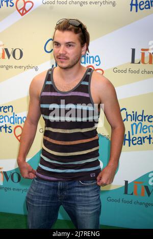 LOS ANGELES - JUN 14:  Emile Hirsch at the Children Mending Hearts 6th Annual Fundraiser at Private Estate on June 14, 2014 in Beverly Hills, CA Stock Photo