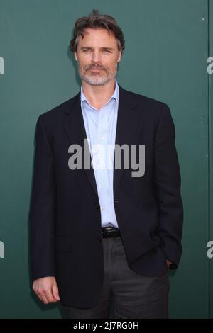 LOS ANGELES - JUL 8:  Dylan Neal at the Crown Media Networks July 2014 TCA Party at the Private Estate on July 8, 2014 in Beverly Hills, CA Stock Photo