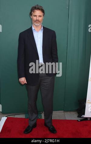 LOS ANGELES - JUL 8:  Dylan Neal at the Crown Media Networks July 2014 TCA Party at the Private Estate on July 8, 2014 in Beverly Hills, CA Stock Photo