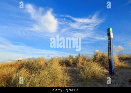 A beach access sign beside a pathway through the dune grasses. Photographed on a beach in the Bay of Plenty, New Zealand Stock Photo