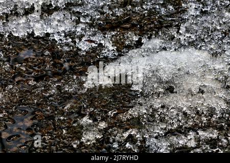 Frozen water in a brook in the spring season Stock Photo