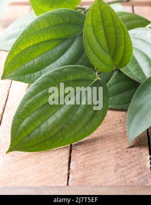 closeup of black peppercorn plant vine on a table top, spicy and seasoning ingredient plant leaves taken in shallow depth of field with copy space Stock Photo