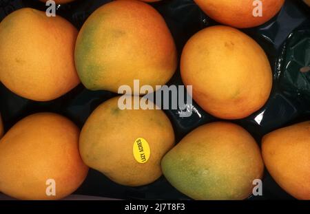 FRESH MANGOES FOR SALE FROM LAZY ACRES FARM. Stock Photo