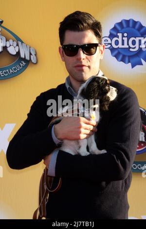 LOS ANGELES - NOV 22:  Max Greenfield at the FOX's 'Cause for Paws:  All-Star Dog Spectacular' at the Barker Hanger on November 22, 2014 in Santa Monica, CA Stock Photo