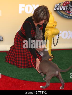 LOS ANGELES - NOV 22:  Wendie Malick at the FOX's 'Cause for Paws:  All-Star Dog Spectacular' at the Barker Hanger on November 22, 2014 in Santa Monica, CA Stock Photo