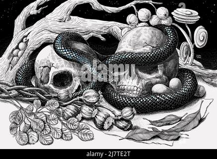 Black Mamba snake wrapped around skulls in the garden handdraw illustration traditional artwork Stock Photo