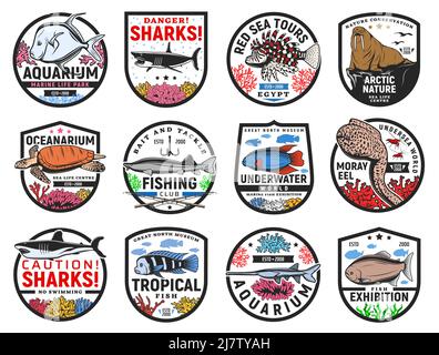 Tropical sea fishes and ocean animals icons. Oceanarium aquarium, fishing club and sharks danger warning, travel tours, nature museum emblem or badge. Turtle, moray eel and lionfish, walrus vector Stock Vector