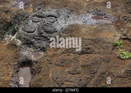 Petroglyphs, art in stone on Easter Island, Chile, South America Stock Photo
