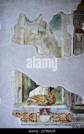 Vergine Immacolata  - affresco - pittore lombardo - XVI secolo  - Fontanella Grazioli (Mn),Italia, Santuario della Madonna della Malongola Stock Photo