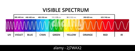 Visible light spectrum, infared and ultraviolet. Optical light ...