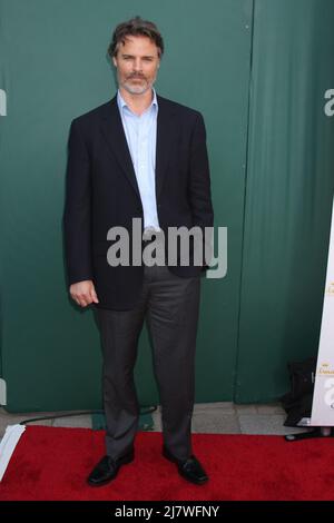 LOS ANGELES - JUL 8:  Dylan Neal at the Crown Media Networks July 2014 TCA Party at the Private Estate on July 8, 2014 in Beverly Hills, CA Stock Photo