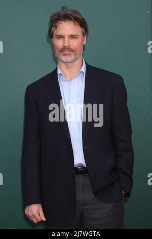 LOS ANGELES - JUL 8:  Dylan Neal at the Crown Media Networks July 2014 TCA Party at the Private Estate on July 8, 2014 in Beverly Hills, CA Stock Photo