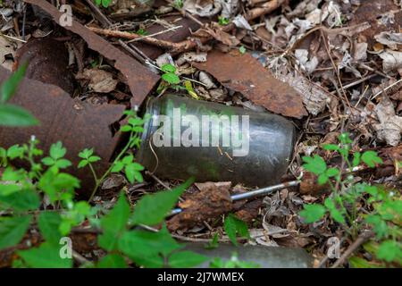 Rusty old tin cans and glass bottles decaying in at dump site in the forest. Stock Photo
