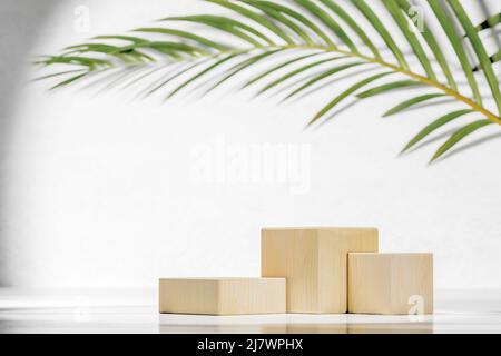 Product display stand with wooden cube under palm leaf. wooden Podium for product presentation on natural background. beauty cosmetic product display Stock Photo