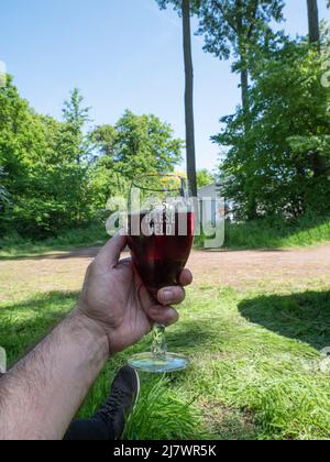 Beervelde, Belgium, 08 May 2022, Strong dark Belgian beer in a glass, held in hand Stock Photo