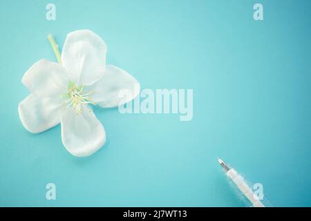White blooming flower and pen on lovely blue table Stock Photo