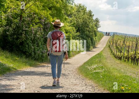 Shadow behind a gray, red and white artificial fishing lure with two treble  hooks pointing toward the surface Stock Photo - Alamy