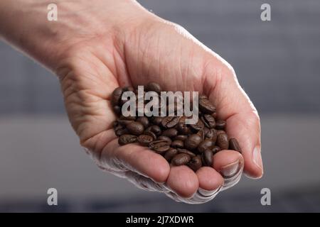 a human hand holding coffee beans Stock Photo