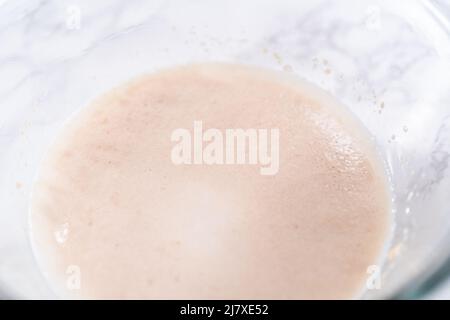 Activating dry yeast in a glass mixing bowl to prepare dinner rolls. Stock Photo