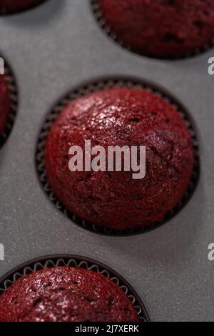 Cooling freshly baked red velvet cupcakes on a kitchen counter. Stock Photo