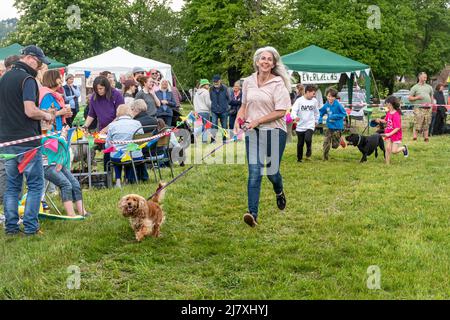 Dunsfold village fete, Surrey, England, UK, with a dog show in the arena. Stock Photo