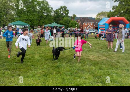 Dunsfold village fete, Surrey, England, UK, with a dog show in the arena. Stock Photo