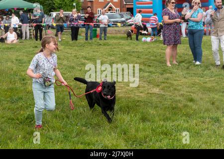 Dunsfold village fete, Surrey, England, UK, with a dog show in the arena. Stock Photo