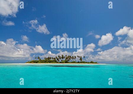 Uninhabited maldivian island with palm trees, beach and lagoon, Maldives, Indian ocean, Asia Stock Photo