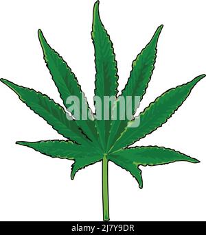 Marijuana leaf green color vector artwork Stock Vector