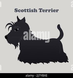 Scottish terrier. Print with dog with background. Stock Vector