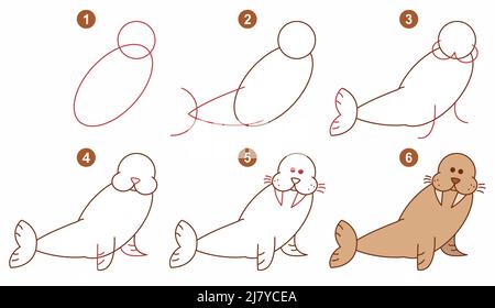 Instructions for drawing walrus. Step by step. Stock Vector