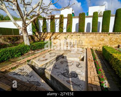 Roman mosaic in the gardens of the Alcazar de los Reyes Cristianos - Cordoba, Spain Stock Photo