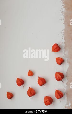 Frame made of red flower buds on white background. Flatlay, top view. View from above. Copy space mockup. Stock Photo