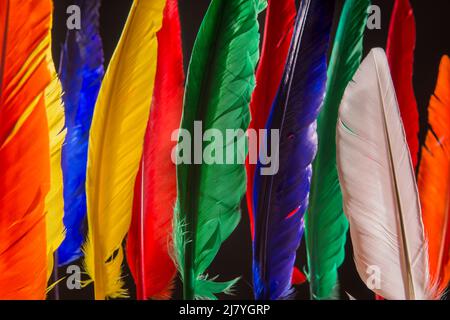 Coloured feathers covering the visible spectrum Stock Photo