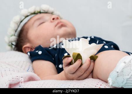 close-up detail of an artificial white rose held by the tender little hand of a newborn baby girl lying in her cradle, dressed in a dark blue jumpsuit Stock Photo