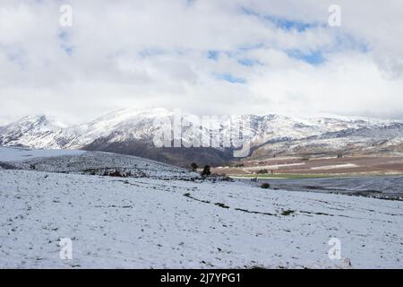 Snow in the mountains in Matroosberg South Africa Stock Photo